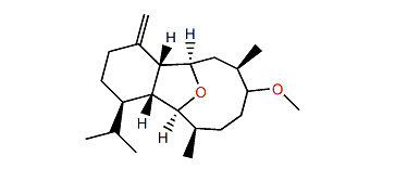 Klymollin V